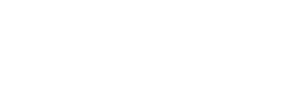 freelap white 3