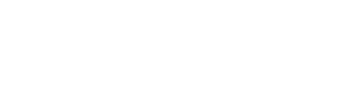 nsca white 60